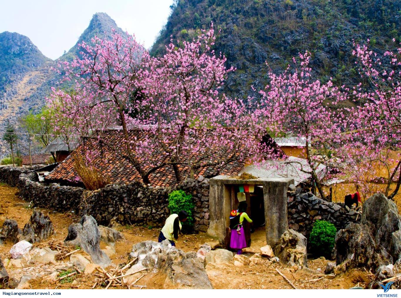 Hà Giang 3 Ngày 2 Đêm – Cao Nguyên Đá Đồng Văn – Mã Pì Lèng – Lũng Cú